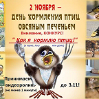 День кормления птиц овсяным печеньем!